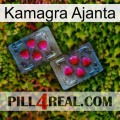 Kamagra Ajanta 15